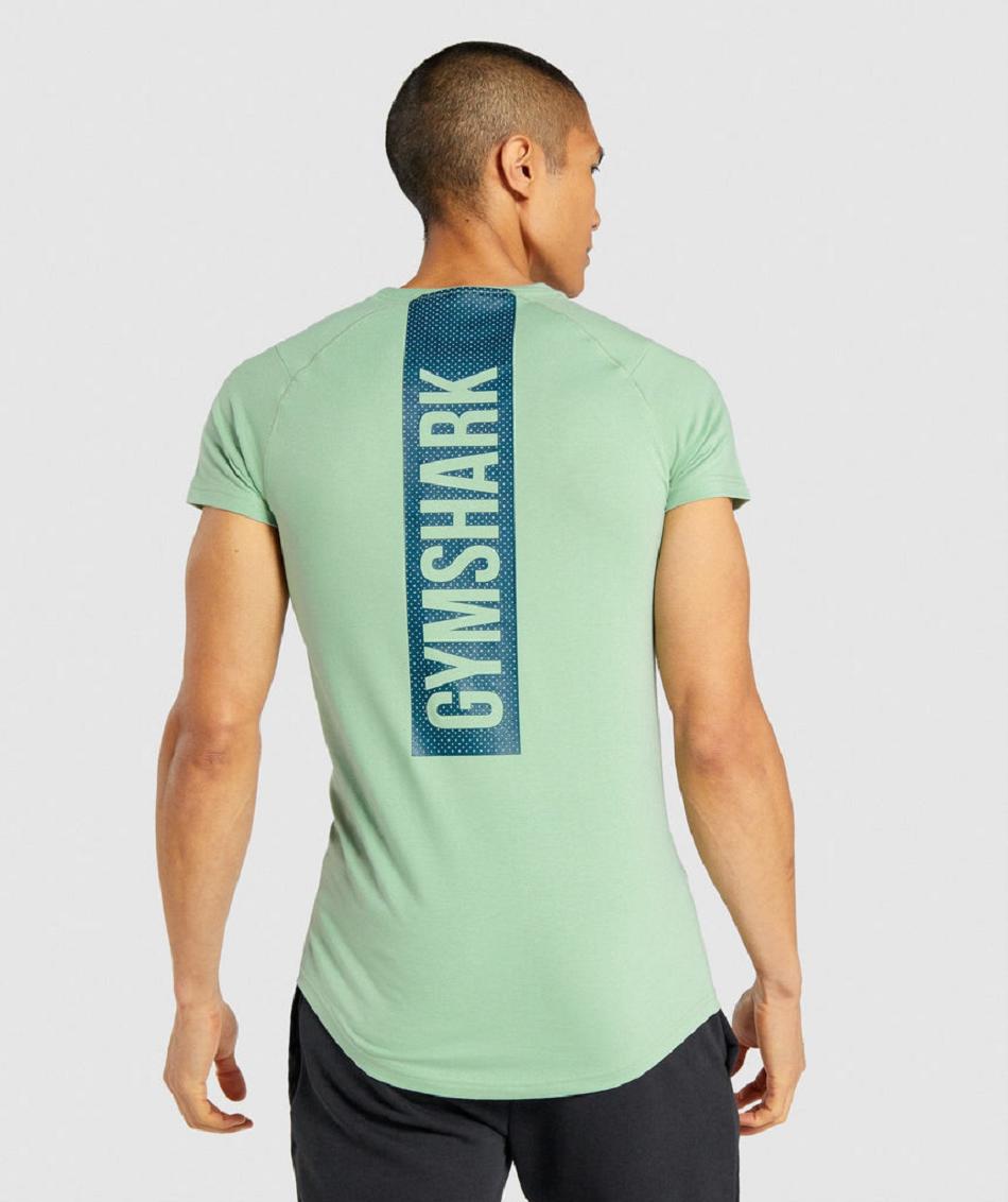 T Shirts Męskie Gymshark Bold Zielone | PL 3848FDN